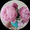 driftandbloom